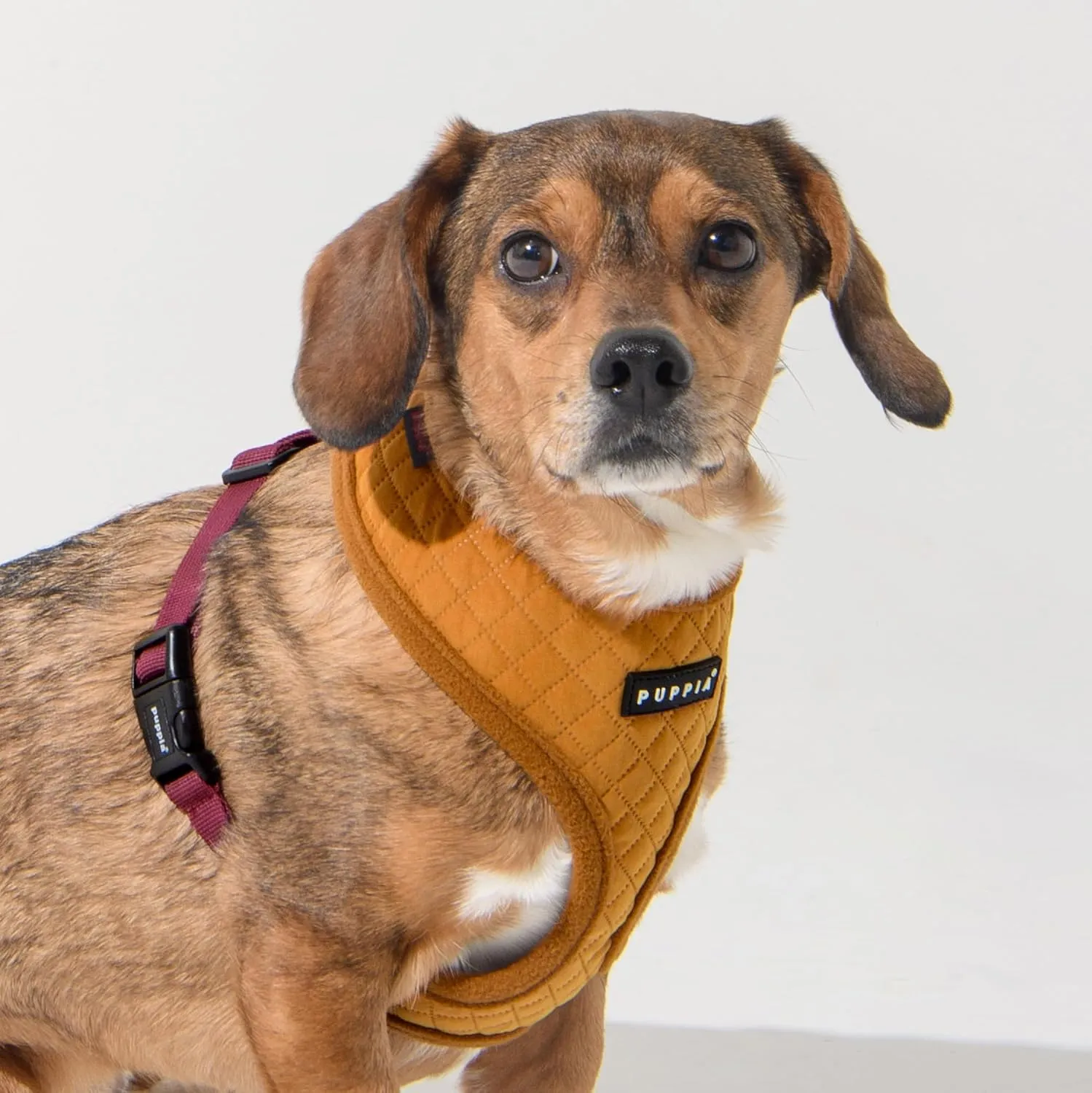 Puppia | Irvin Quilted Dog Harness (A) - Mustard